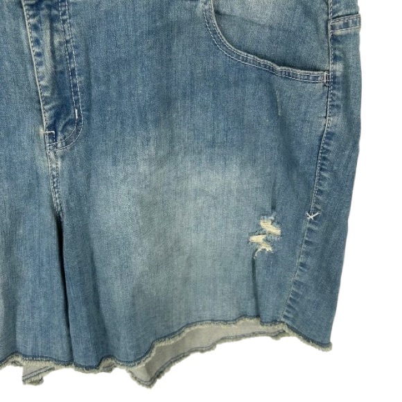 NWT Lane Bryant Boyfriend Distressed Weekend Short Size 22 - Picture 4 of 12